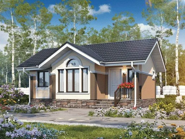 Одноэтажный дом 40 м²